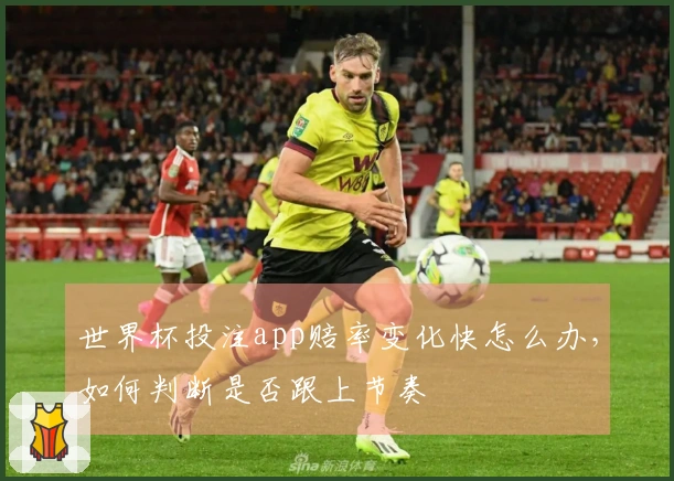世界杯投注app赔率变化快怎么办，如何判断是否跟上节奏
