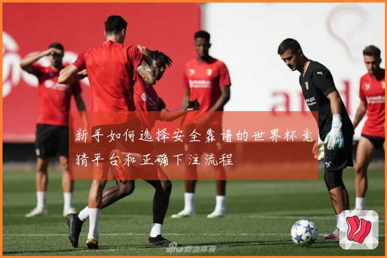 新手如何选择安全靠谱的世界杯竞猜平台和正确下注流程