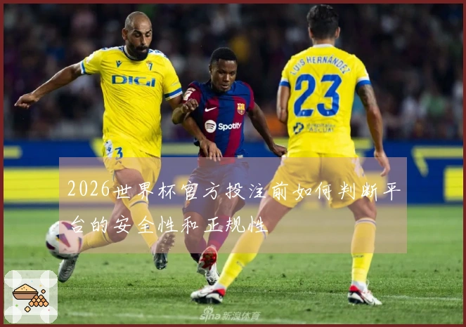 2026世界杯官方投注前如何判断平台的安全性和正规性