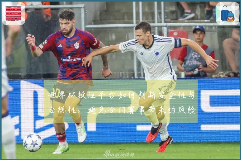 世界杯投注平台如何判断安全性与合规性，避免冷门赛事带来的风险
